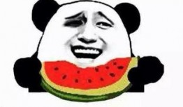 吃瓜群众看网红,吃瓜群众视角下的网红现象解析