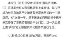 杭州日报热点爆料新闻最新